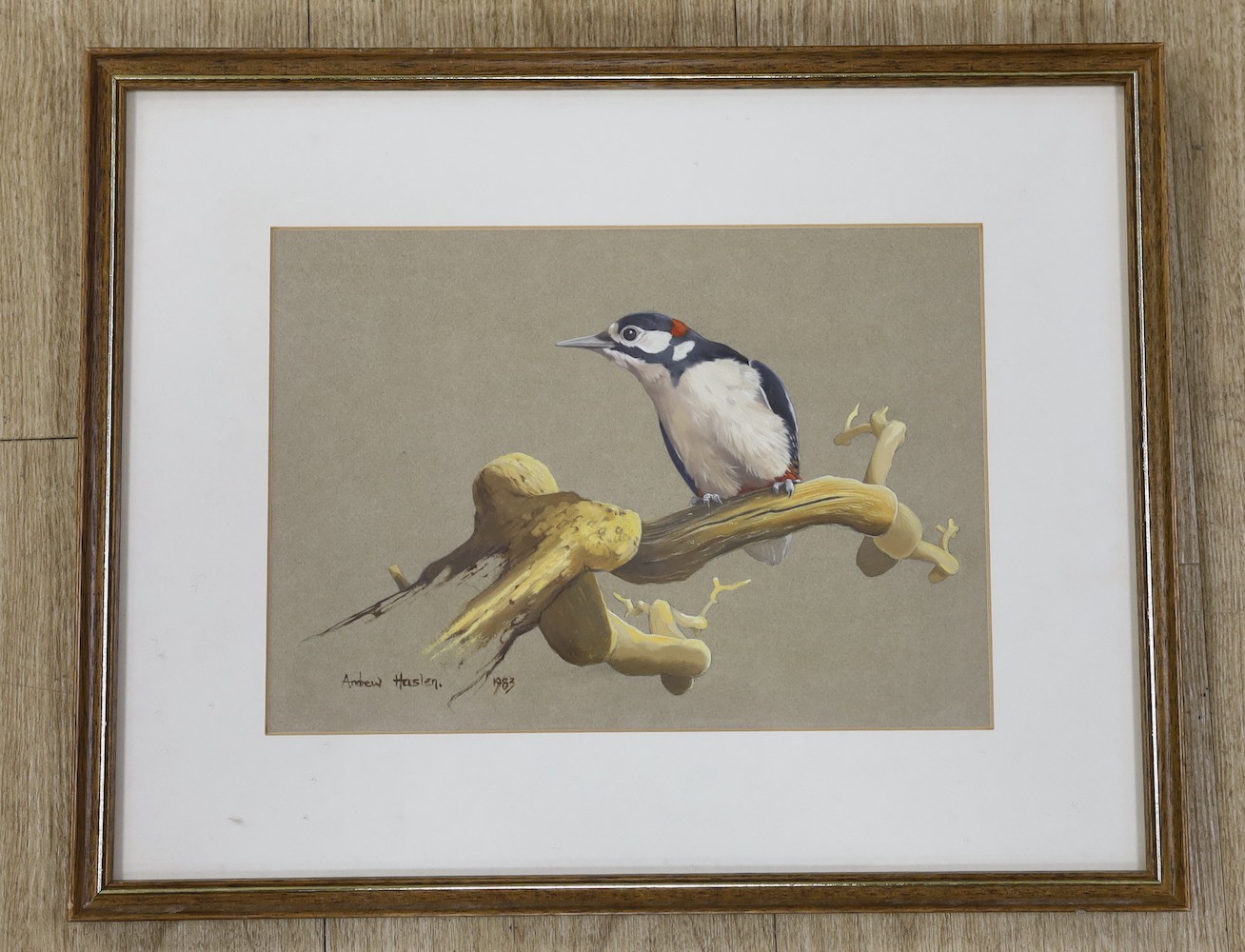 Andrew Haslen (b.1953), oil on card, Greater spotted woodpecker perched on a branch, signed and dated 1983, 20 x 29cm
